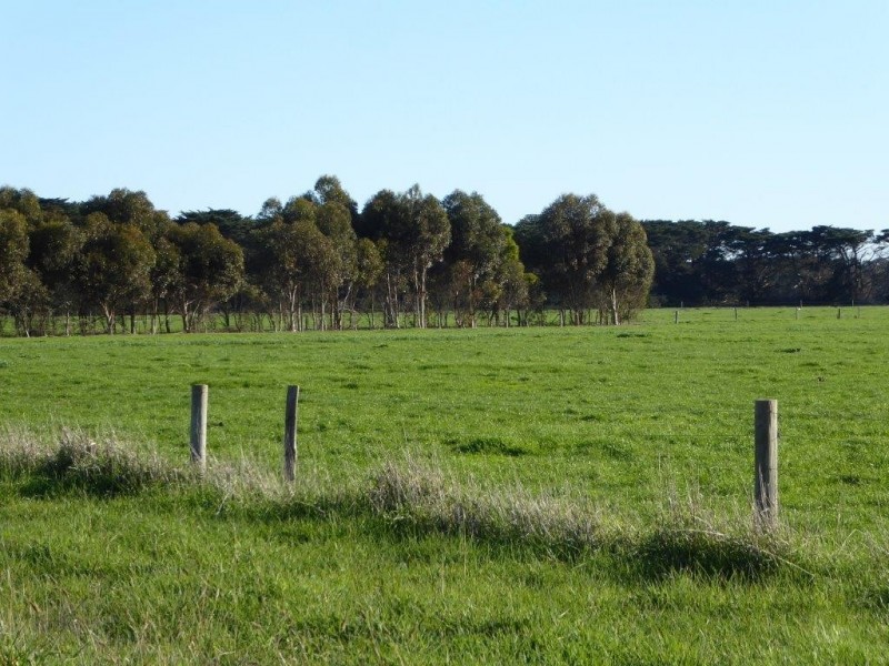 950 CASTLE CAREY ROAD, Terang VIC 3264