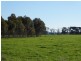 950 CASTLE CAREY ROAD, Terang VIC 3264