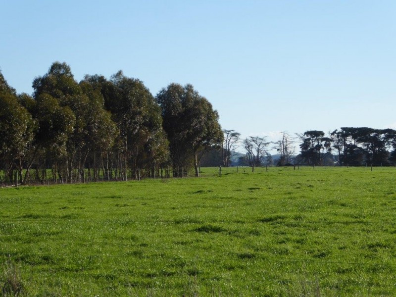 950 CASTLE CAREY ROAD, Terang VIC 3264