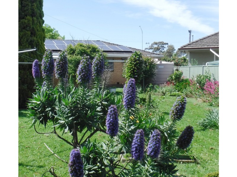 93 BOUNDARY ROAD, Mortlake VIC 3272