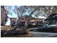 … PERRICOOTA FOREST ROAD, Moama NSW 2731