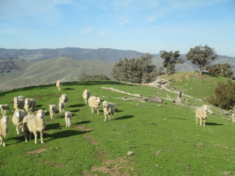 CA 70B Part of 591 Spring Ck Rd, Fawcett VIC 3714