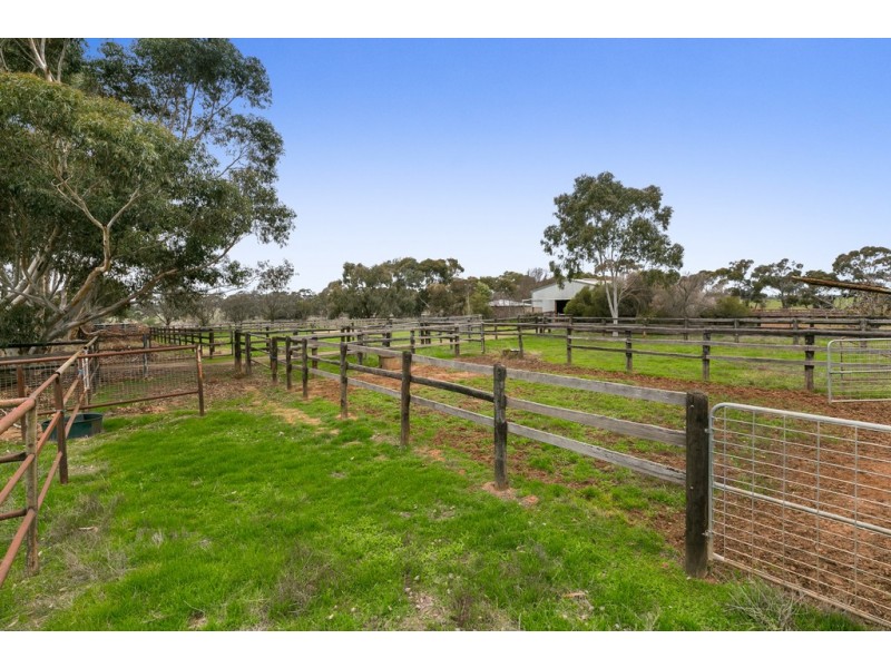 565 Muskerry East School Road Muskerry via, Toolleen VIC 3551