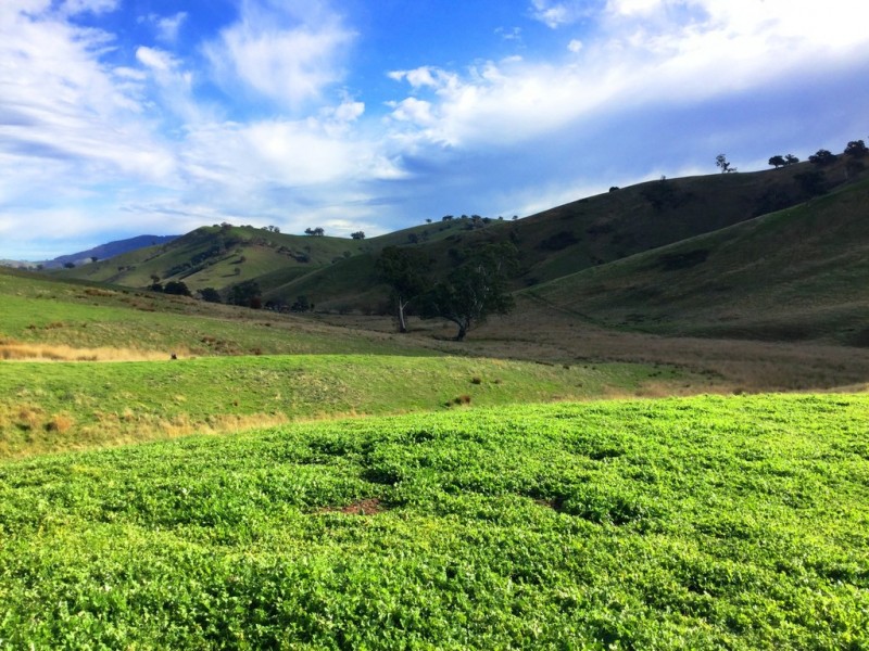 6088 Maroondah Highway, Cathkin VIC 3714