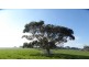 592 TOWER HILL ROAD, Yangery VIC 3283