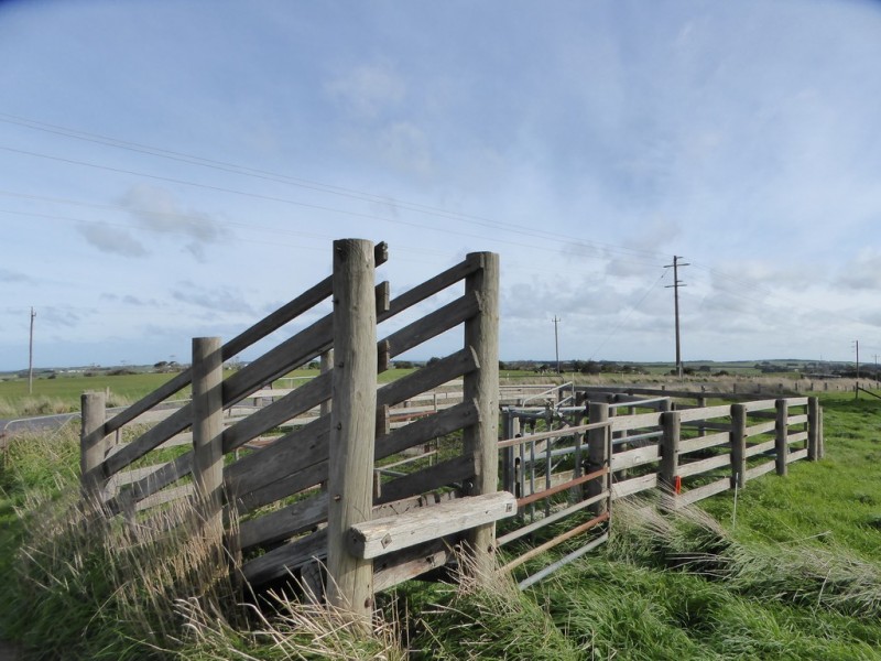 592 TOWER HILL ROAD, Yangery VIC 3283