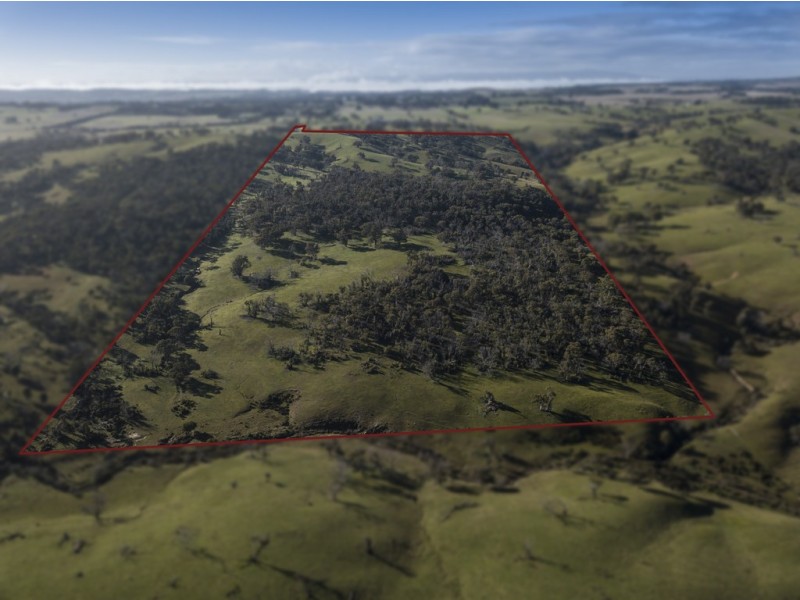 320 Paynes Road, Forbes VIC 3764