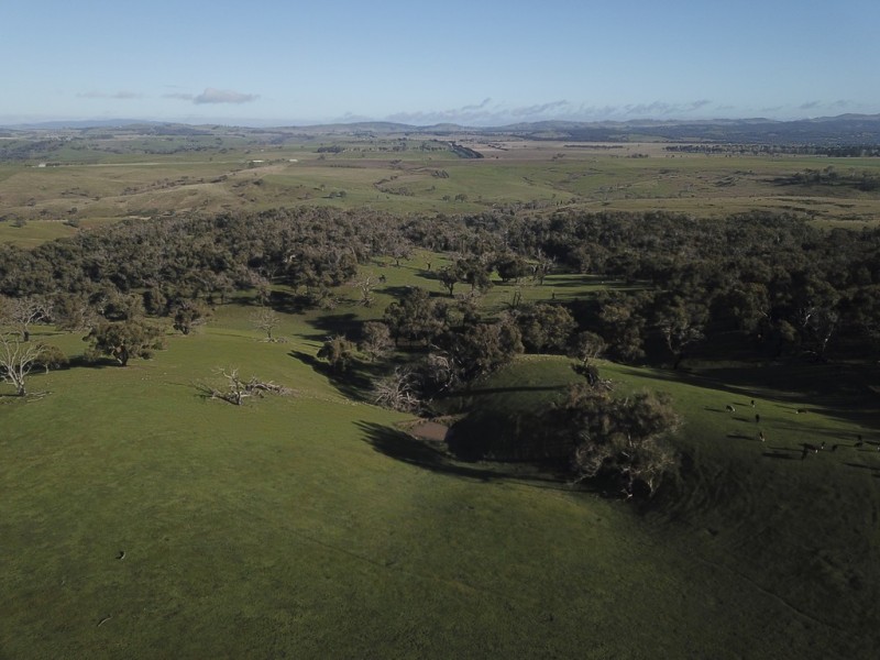 320 Paynes Road, Forbes VIC 3764