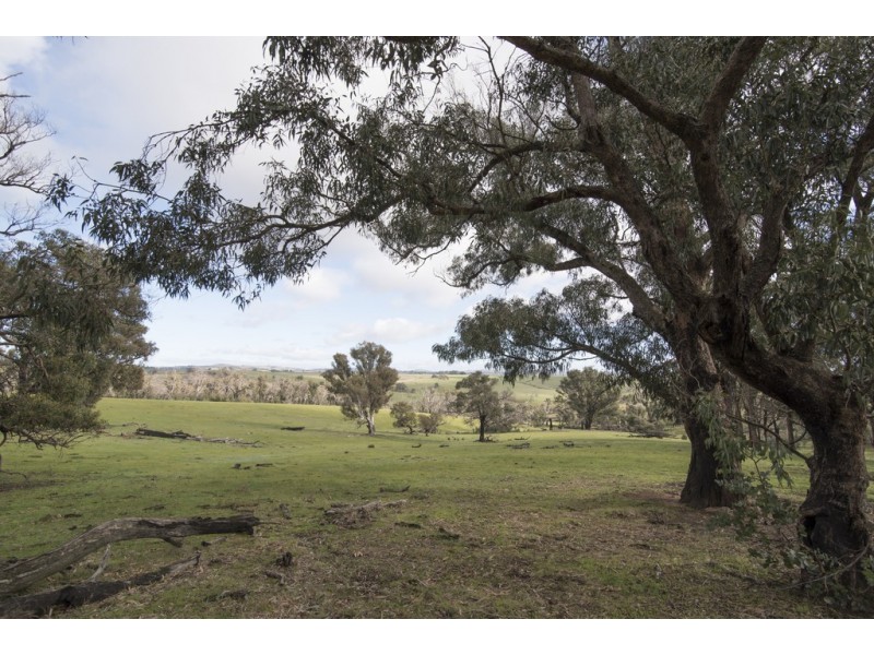 320 Paynes Road, Forbes VIC 3764