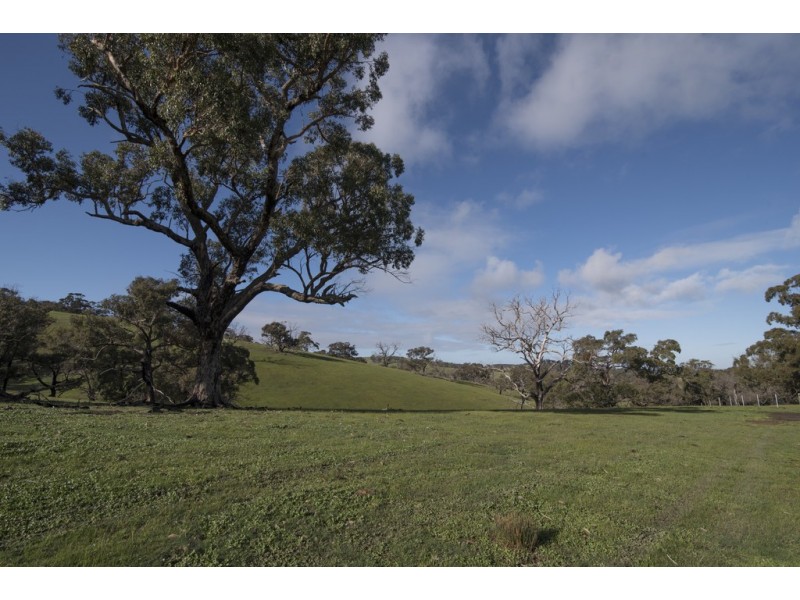 320 Paynes Road, Forbes VIC 3764