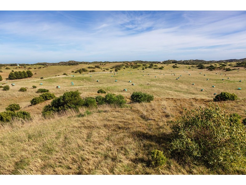 321 Dundas Street, Rye VIC 3941