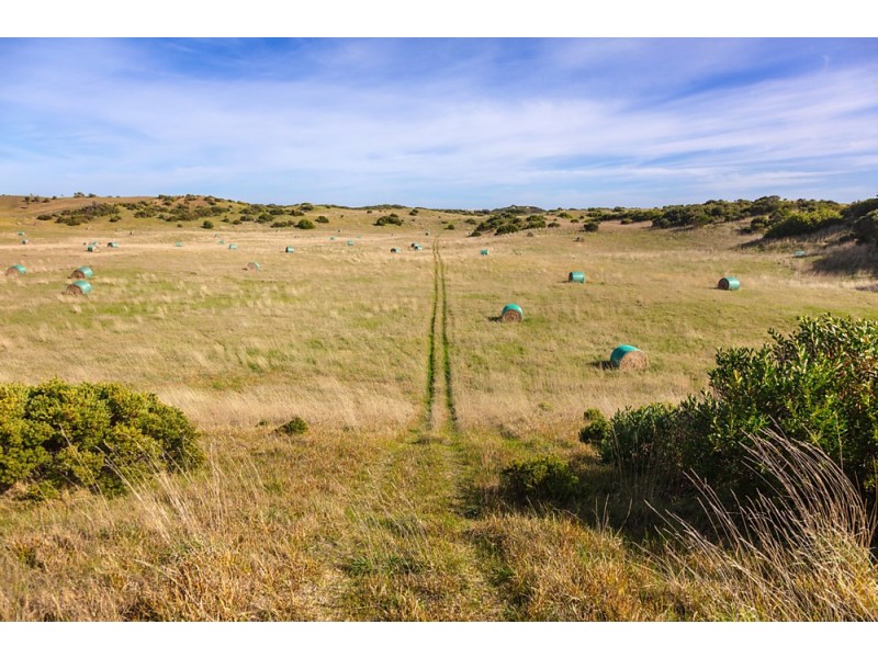 321 Dundas Street, Rye VIC 3941