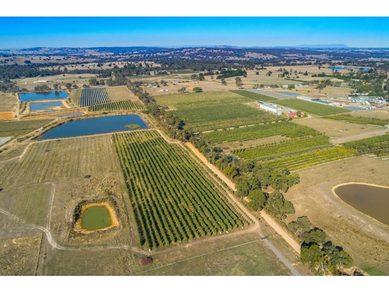 130 Fryes Road, Elphinstone VIC 3448