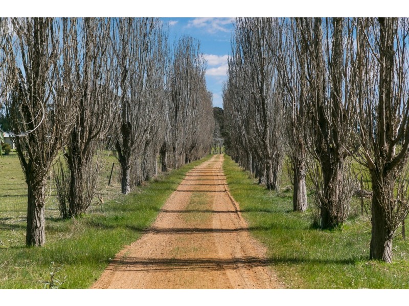 1149 South Costerfield – Graytown Road, Nagambie VIC 3608