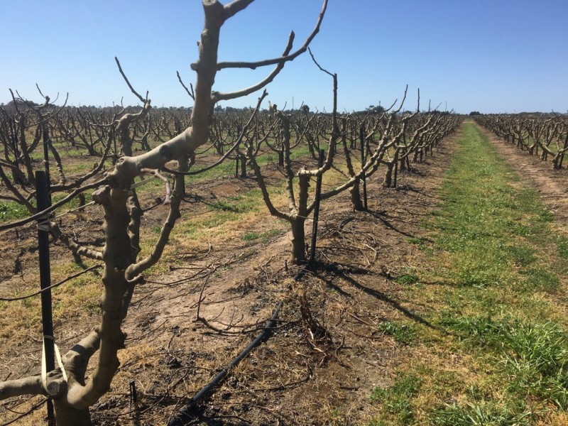 Shepparton East VIC 3631