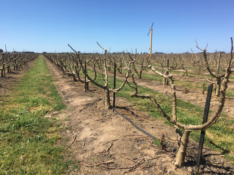 Shepparton East VIC 3631