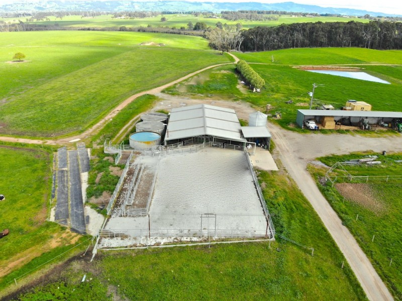 135 BROOKERS ROAD, Darnum VIC 3822