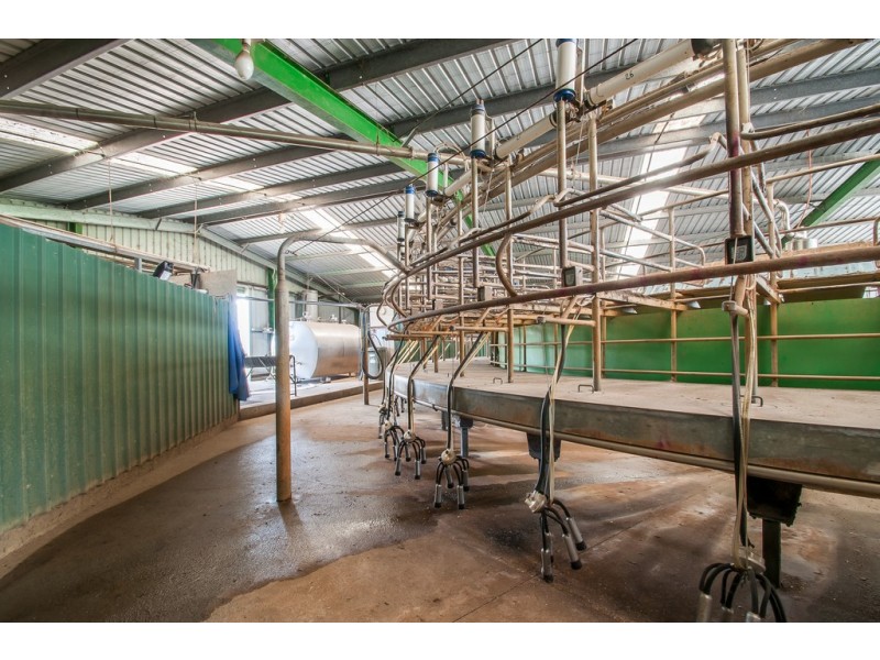 135 BROOKERS ROAD, Darnum VIC 3822