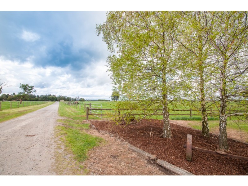 135 BROOKERS ROAD, Darnum VIC 3822