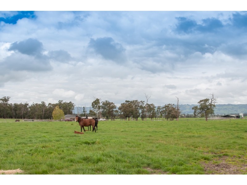 135 BROOKERS ROAD, Darnum VIC 3822