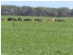 64 Radfords Road, Nirranda South VIC 3268