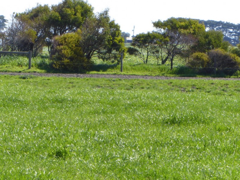 64 Radfords Road, Nirranda South VIC 3268