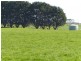 64 Radfords Road, Nirranda South VIC 3268
