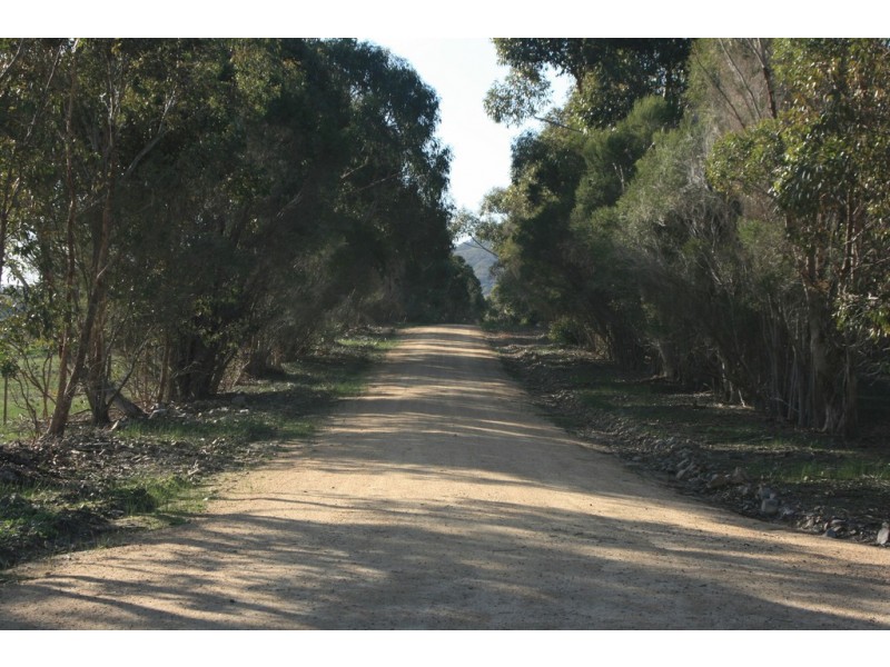 1755 Seymour-Tooborac Road, Glenaroua VIC 3764