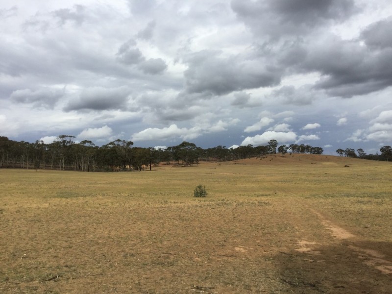 . Burkes Flat- Wehla Rd, Burkes Flat VIC 3475