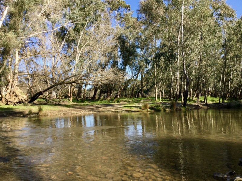 84 King Parrot Creek Road, Kerrisdale VIC 3660