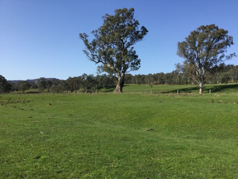 84 King Parrot Creek Road, Kerrisdale VIC 3660