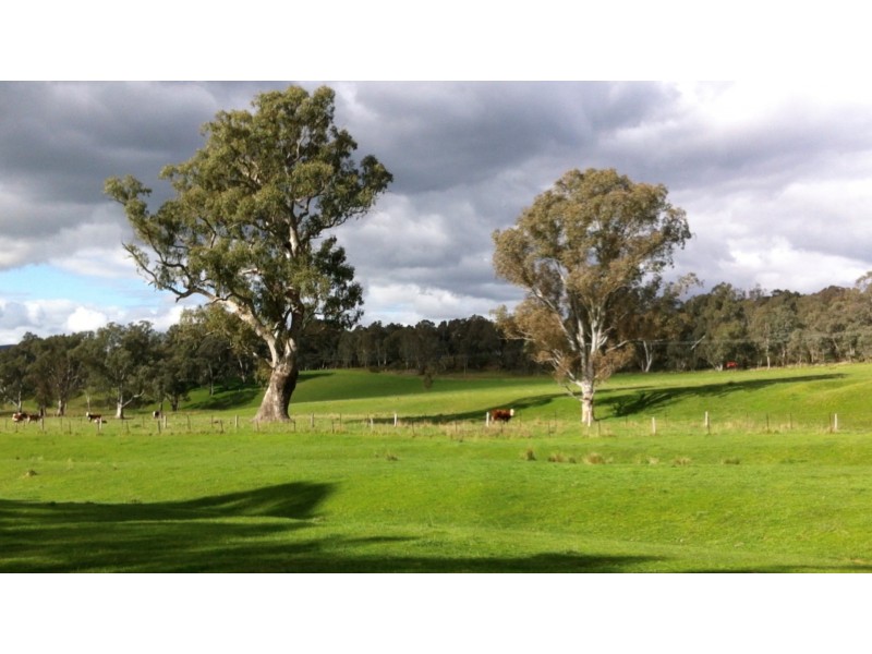 84 King Parrot Creek Road, Kerrisdale VIC 3660