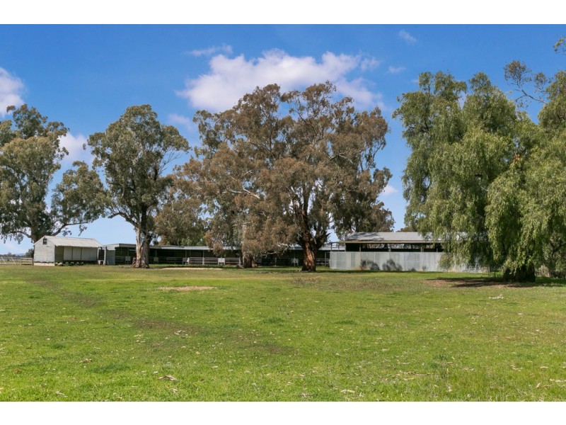 305 and 320 Ross Road, Arcadia VIC 3631