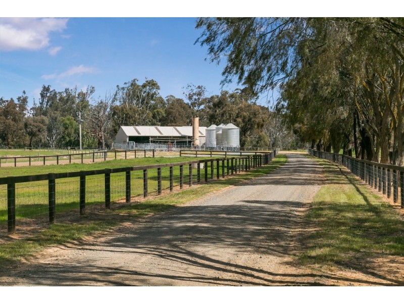 305 and 320 Ross Road, Arcadia VIC 3631