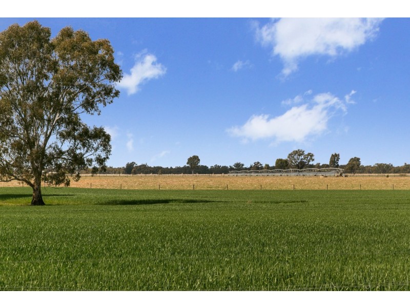 305 and 320 Ross Road, Arcadia VIC 3631