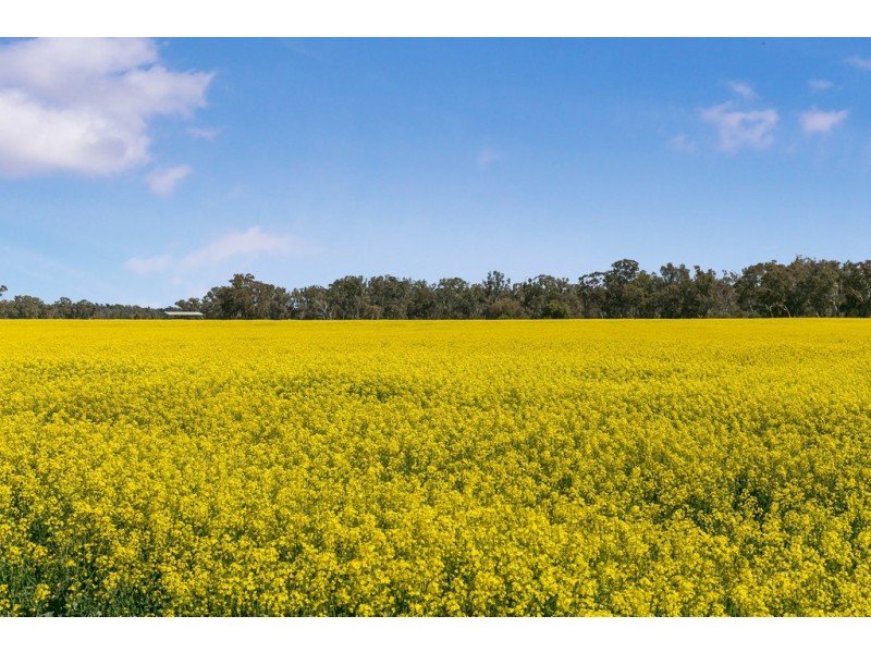 305 and 320 Ross Road, Arcadia VIC 3631