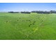 3409 Warrnambool-Penshurst Road, Hawkesdale VIC 3287