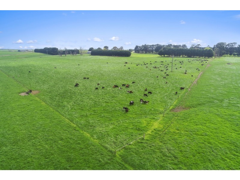 3409 Warrnambool-Penshurst Road, Hawkesdale VIC 3287