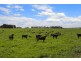 3409 Warrnambool-Penshurst Road, Hawkesdale VIC 3287