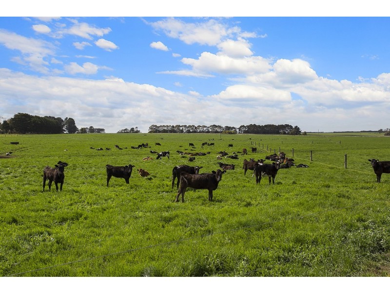 3409 Warrnambool-Penshurst Road, Hawkesdale VIC 3287