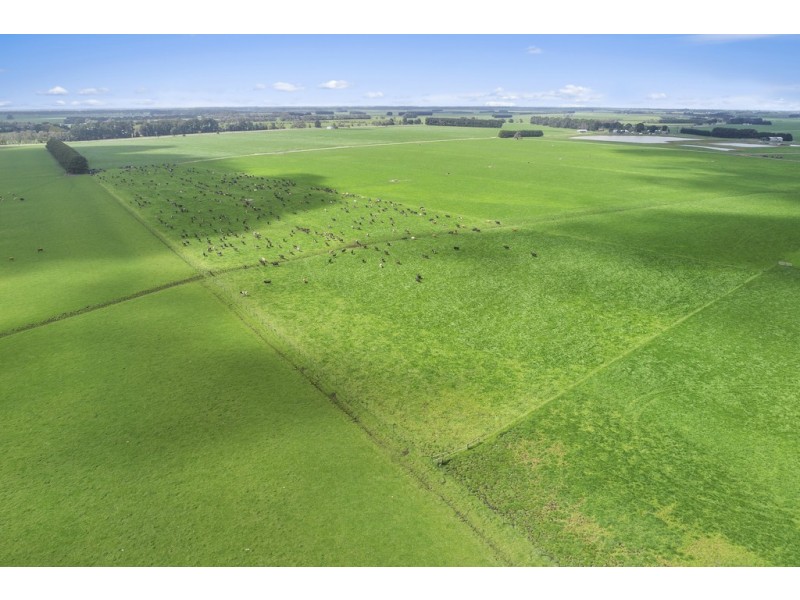 3409 Warrnambool-Penshurst Road, Hawkesdale VIC 3287