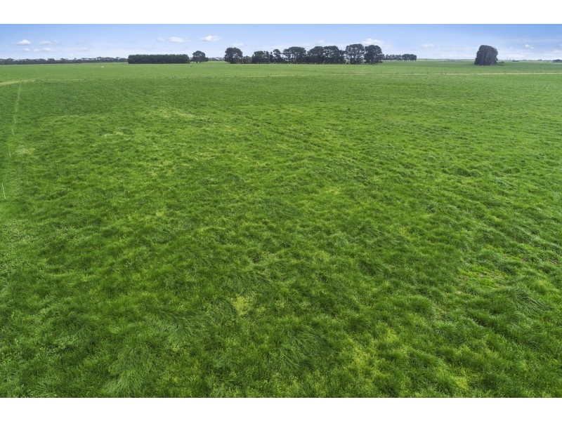 3409 Warrnambool-Penshurst Road, Hawkesdale VIC 3287