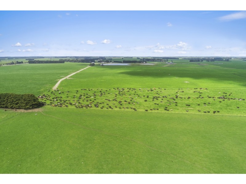 3409 Warrnambool-Penshurst Road, Hawkesdale VIC 3287