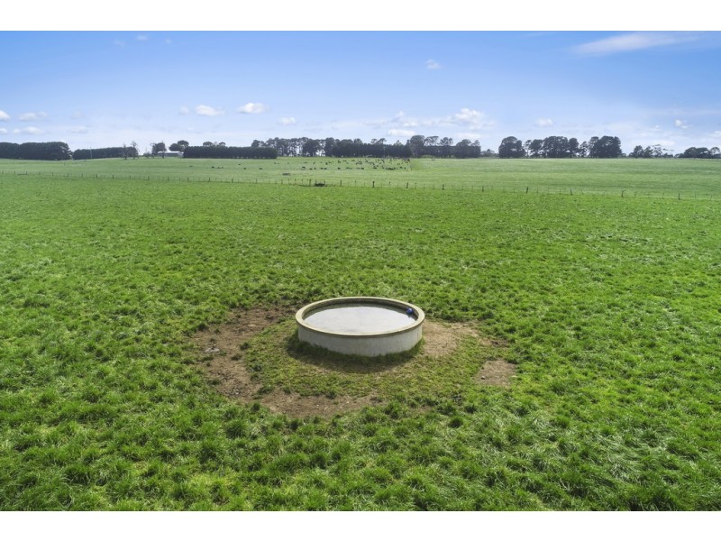 3409 Warrnambool-Penshurst Road, Hawkesdale VIC 3287