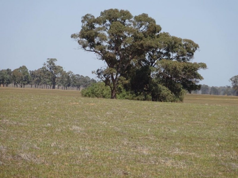 …. Cobb Highway, Moama NSW 2731