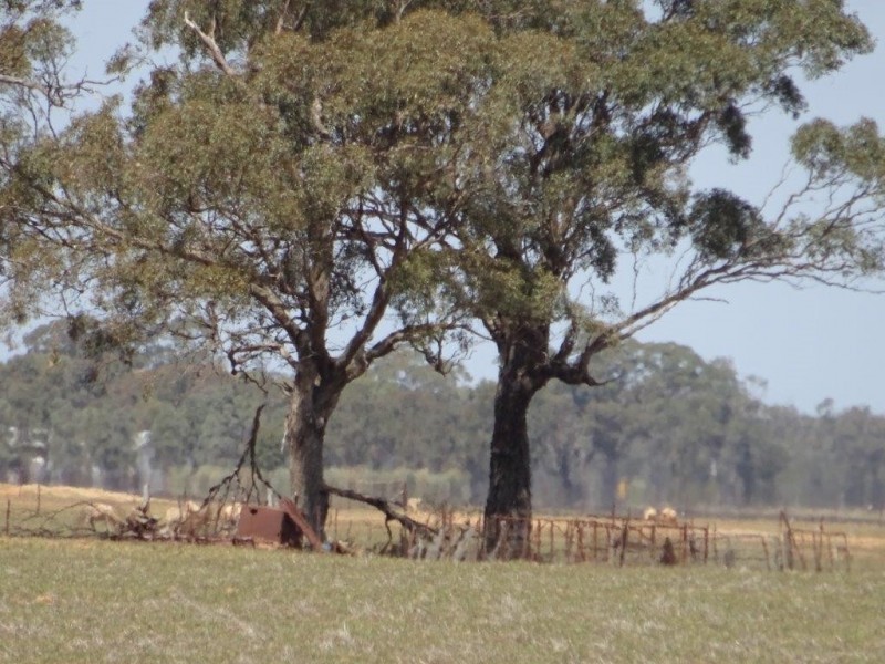 …. Cobb Highway, Moama NSW 2731