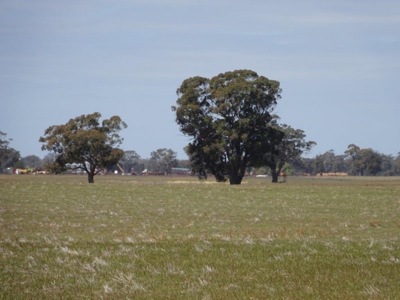 …. Cobb Highway, Moama NSW 2731