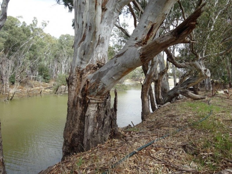 Lot 99 Old Barmah Road, Moama NSW 2731