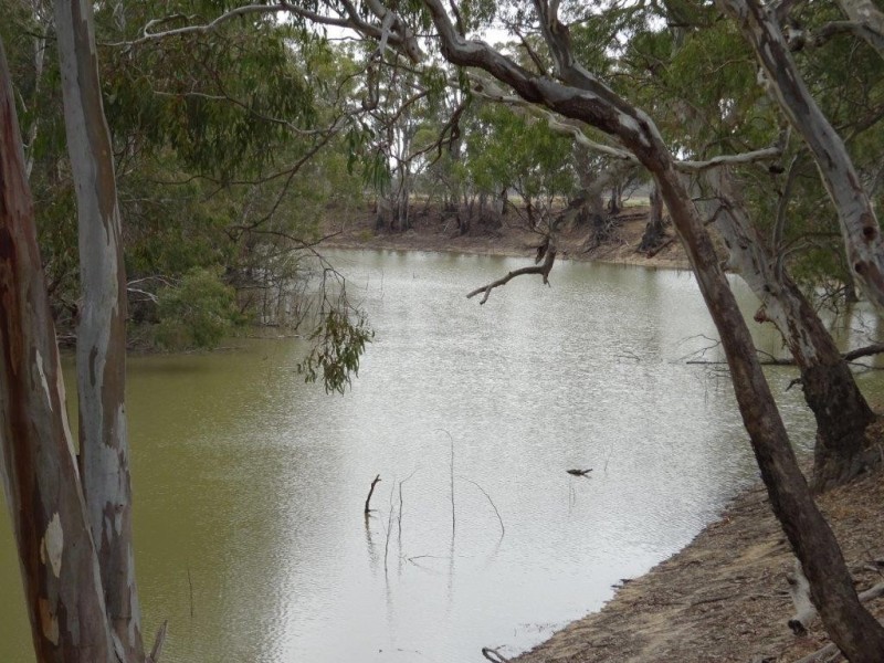 Lot 99 Old Barmah Road, Moama NSW 2731