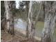 Lot 99 Old Barmah Road, Moama NSW 2731